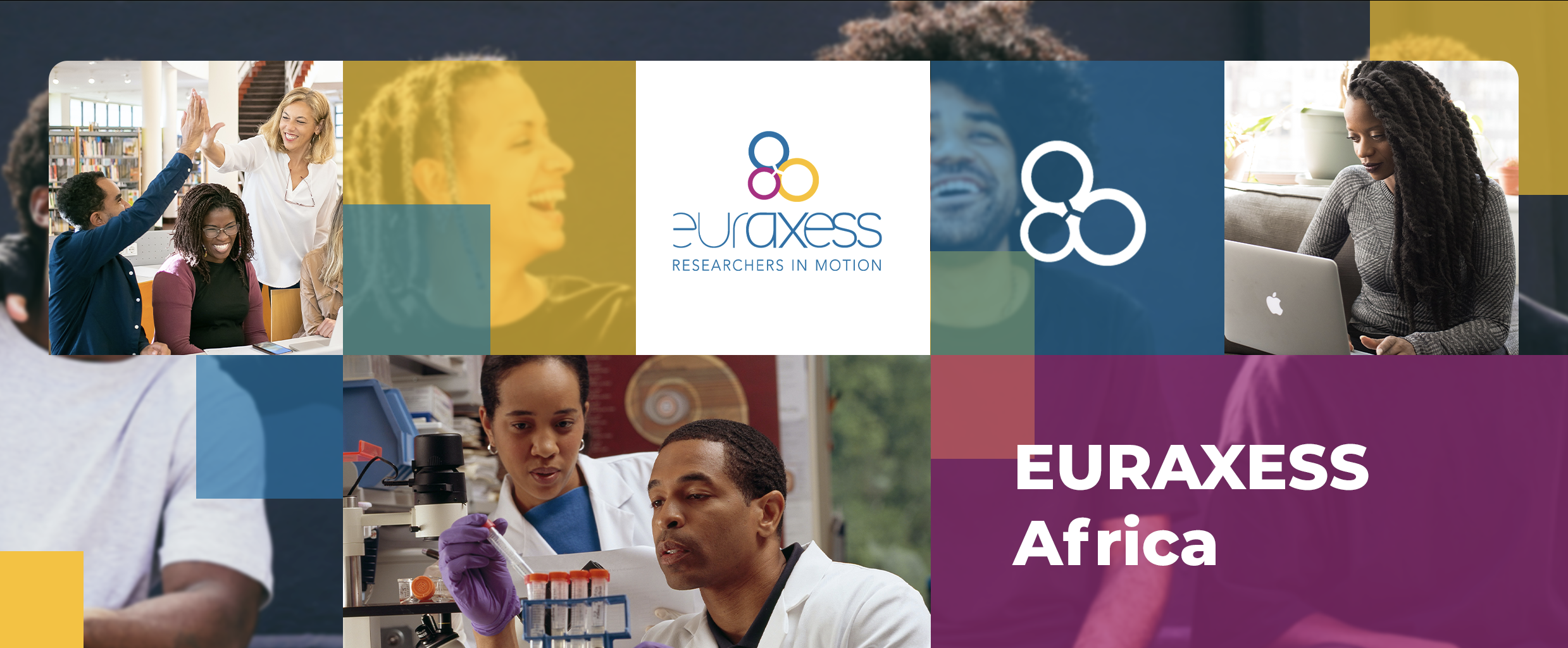 EURAXESS Africa Banner