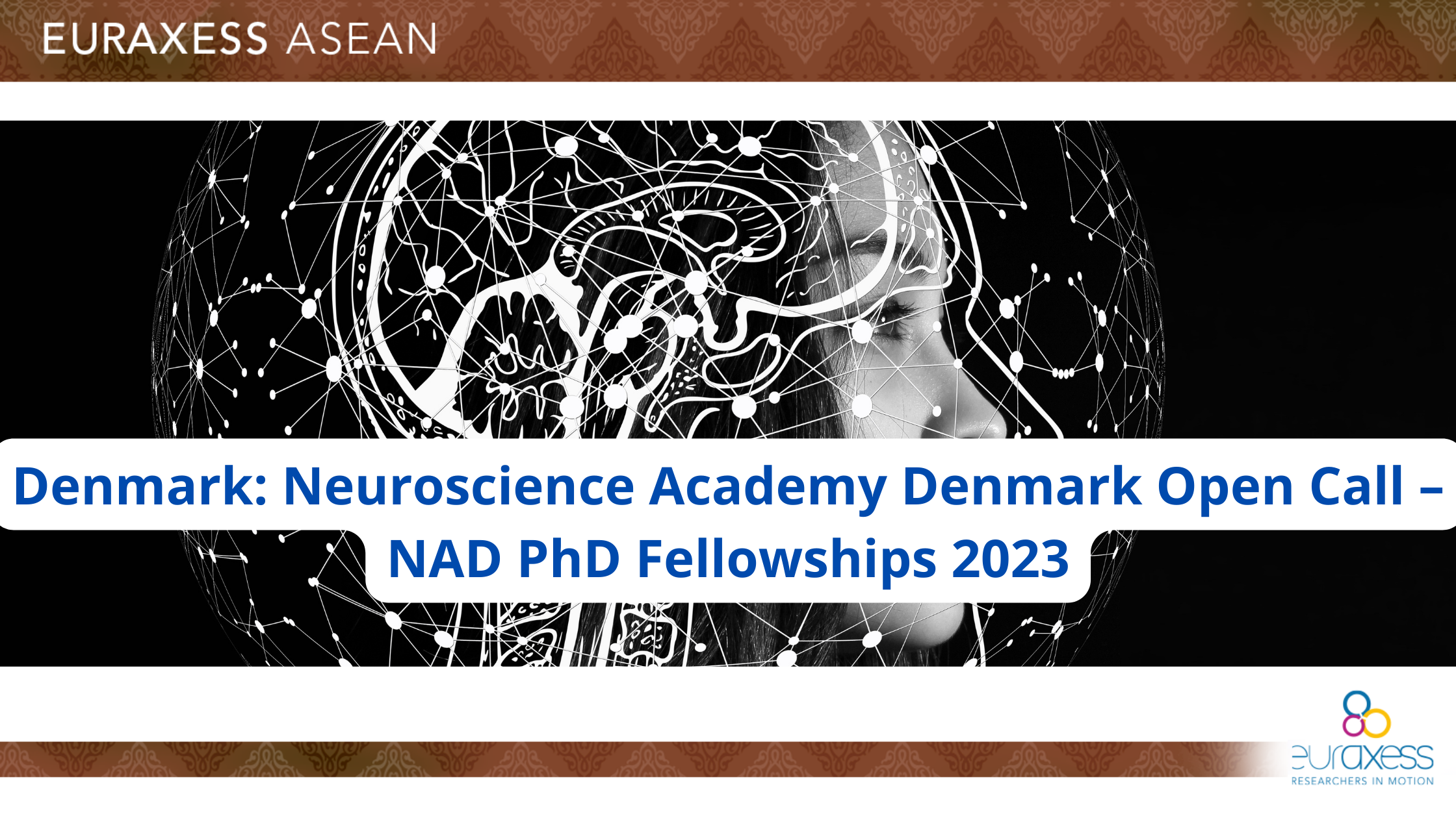 phd neuroscience denmark