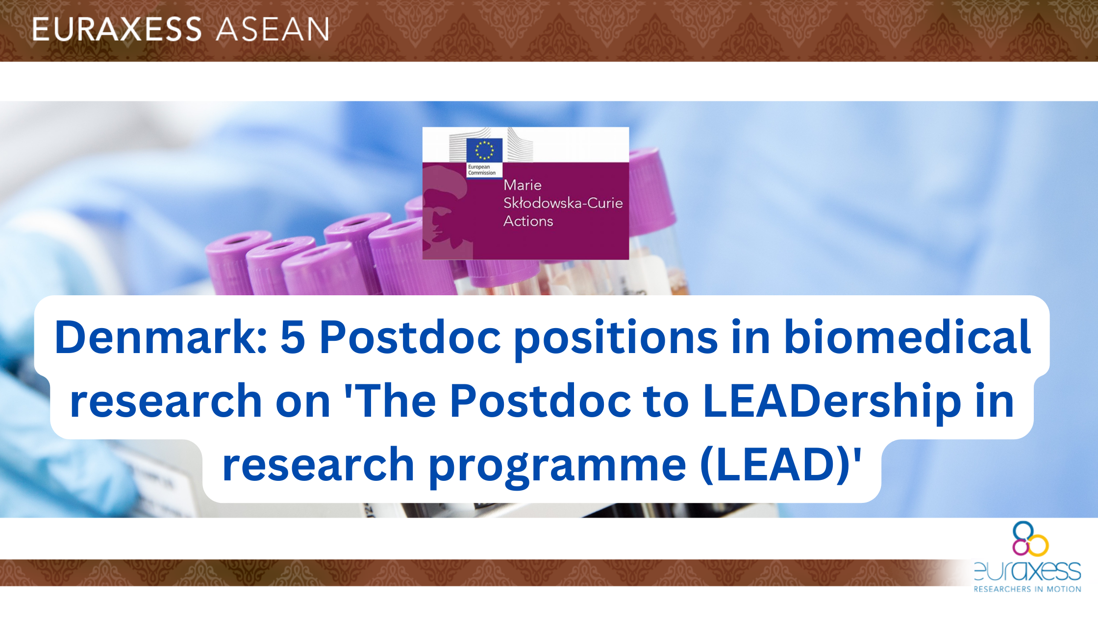 Denmark: 5 Postdoc Positions In Biomedical Research On 'The Postdoc To ...