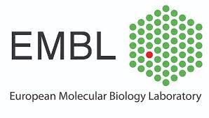 embl international phd programme 2022