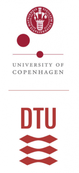 phd machine learning denmark