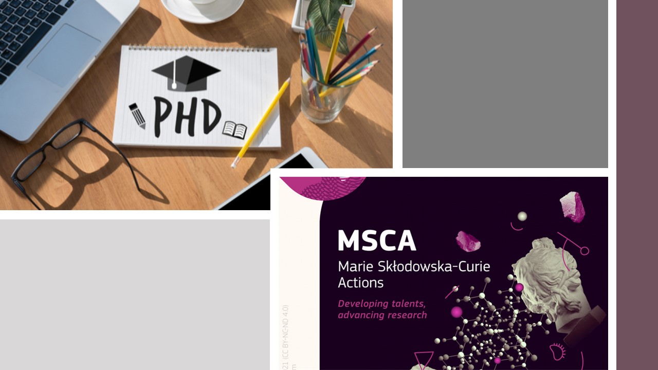 MSCA Awards €405 Million For Doctoral Programmes | EURAXESS